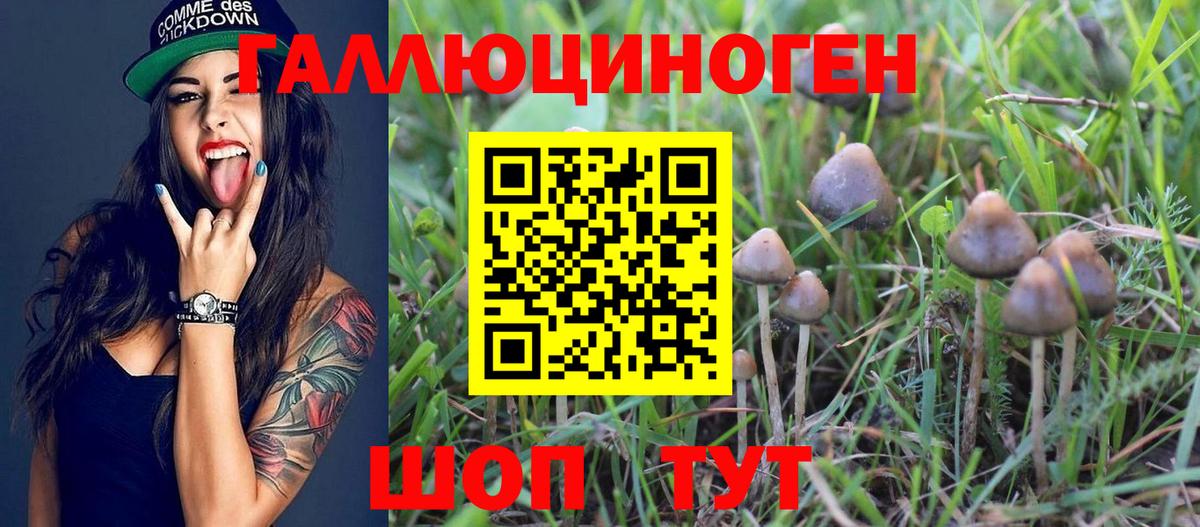 Карачаевск  Галлюциногенные грибы мицелий  Вход с VPN  Галлюциногенные грибы MAGIC MUSHROOMS 